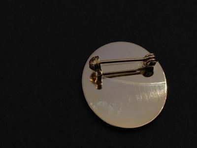 Vintage Rose Cameo Style Pin