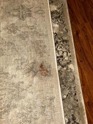 2) 5’ X 7’3” CENTRAL RUG & DECOR CO, QUALITY RUGS FROM THE CLEARWATER COLLECTION