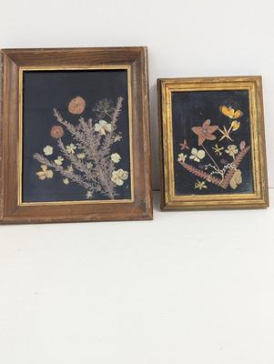 Framed Pressed Flower Art