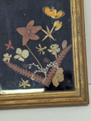 Framed Pressed Flower Art