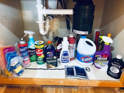 GOOD STUFF UNDER THE KITCHEN SINK