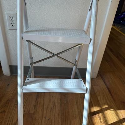 Step Ladders Lot