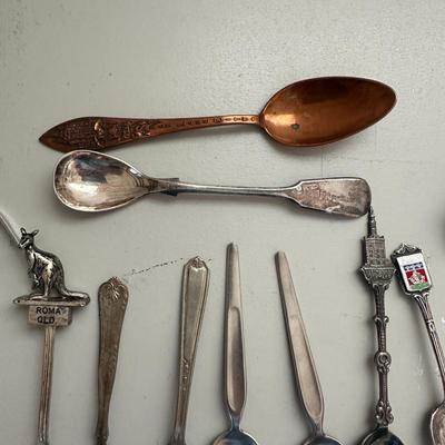 Collectible Spoons Lot