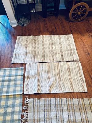 NEUTRAL EARTH TONED RUGS