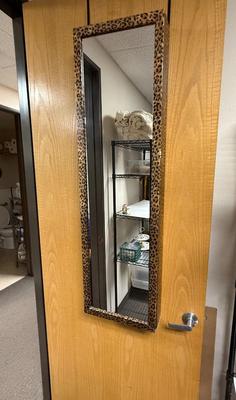 Wall Door Mounted Mirrored Jewelry Cabinet Standing Vanity Hanging Organizer Leopard Print
