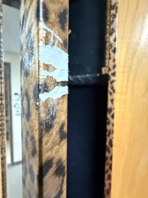 Wall Door Mounted Mirrored Jewelry Cabinet Standing Vanity Hanging Organizer Leopard Print