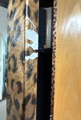 Wall Door Mounted Mirrored Jewelry Cabinet Standing Vanity Hanging Organizer Leopard Print