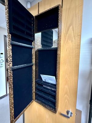 Wall Door Mounted Mirrored Jewelry Cabinet Standing Vanity Hanging Organizer Leopard Print
