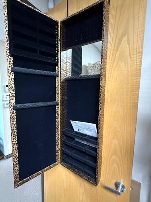 Wall Door Mounted Mirrored Jewelry Cabinet Standing Vanity Hanging Organizer Leopard Print