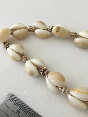 Beautiful shell necklace