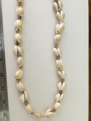 Beautiful shell necklace