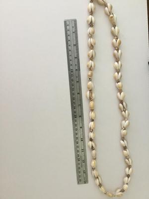 Beautiful shell necklace
