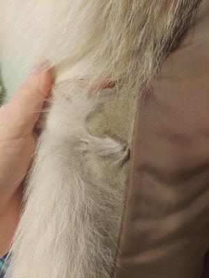 Coyote Fur Coat (PC-BBL)