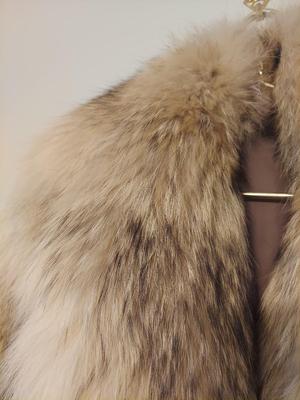 Coyote Fur Coat (PC-BBL)