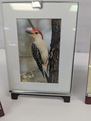 Images Of The Great State Of Michigan By Suzette & Ron Wright