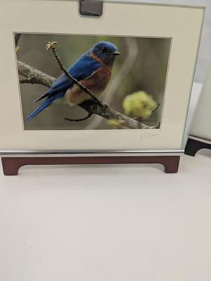 Images Of The Great State Of Michigan By Suzette & Ron Wright