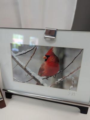 Images Of The Great State Of Michigan By Suzette & Ron Wright