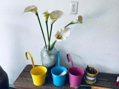 PICNIC TABLE BENCH, AMERICAN FLAG, PASTEL HANGING PLANTERS AND MORE