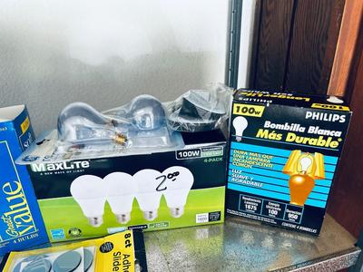 VARIETY OF LIGHT BULBS
