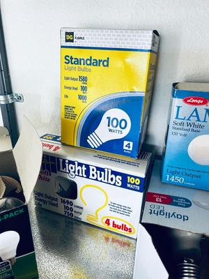 LIGHT BULBS