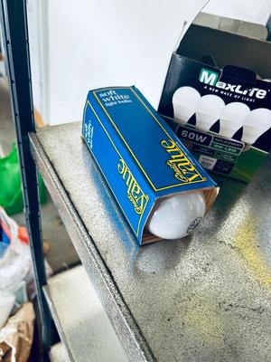 LIGHT BULBS