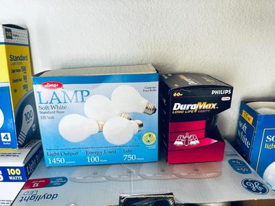 LIGHT BULBS