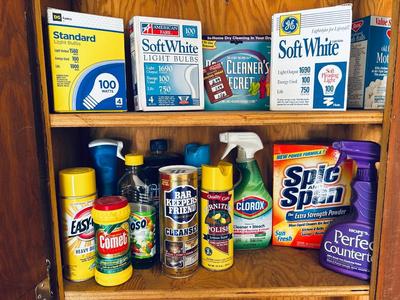 HOUSEHOLD CHEMICALS AND LIGHT BULBS