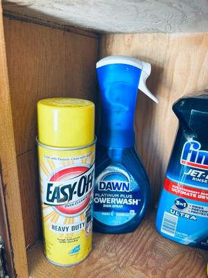 HOUSEHOLD CHEMICALS AND LIGHT BULBS