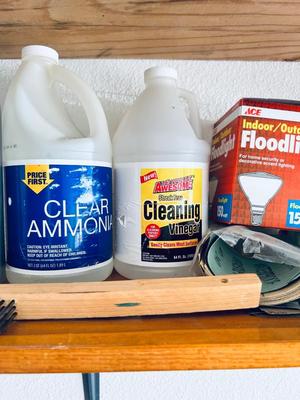 GARAGE CHEMICALS AND NECESSITIES