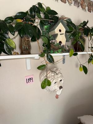 Sale Photo Thumbnail #680: U99-Plants + extras