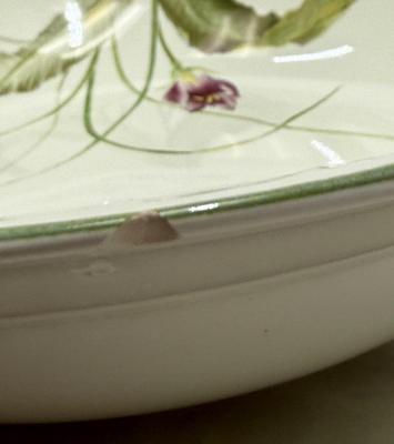 Mikasa Spring Breeze Serving Bowl
