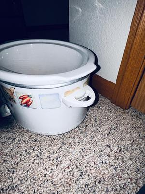GEORGE FOREMAN GRILL AND A MEDIUM CROCK POT