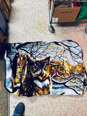 OLD UNIVERSAL ELECTRIC IRON WITH STAND, QUILT RACK, CLOTHES PINS, JAMES A MEGER ART THROW BLANKET