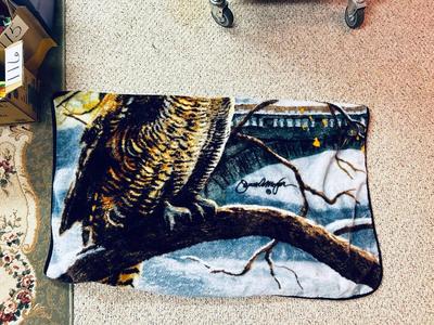 OLD UNIVERSAL ELECTRIC IRON WITH STAND, QUILT RACK, CLOTHES PINS, JAMES A MEGER ART THROW BLANKET