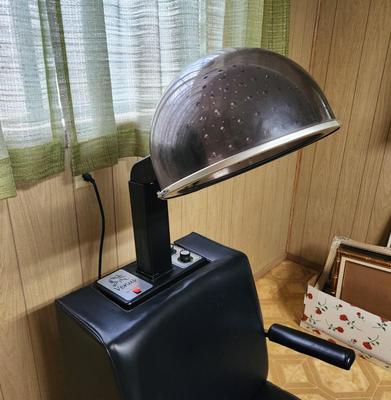 Lot #161 Venus Plus Hair Dryer - Home or Salon use - works fine
