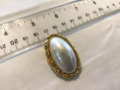 Beautiful Large Scarf Clip