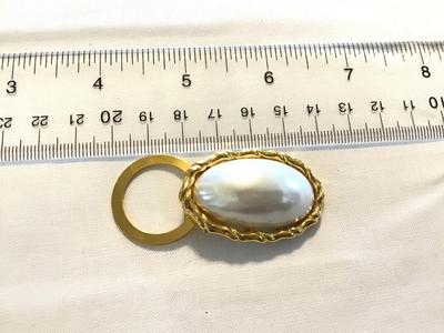 Beautiful Large Scarf Clip