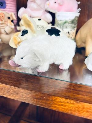 A WHOLE PENS WORTH OF PIGS