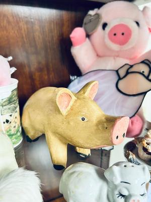 A WHOLE PENS WORTH OF PIGS