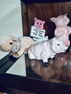 ONE MORE PEN OF PIGS! HOW COULD YOU HAVE TOO MANY LITTLE PIGGIES?