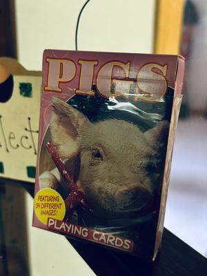 ONE MORE PEN OF PIGS! HOW COULD YOU HAVE TOO MANY LITTLE PIGGIES?