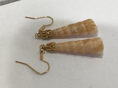 Shell Earrings
