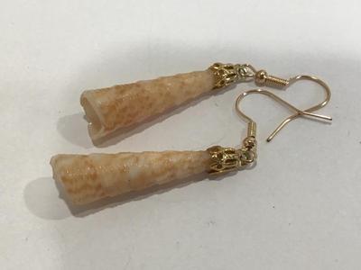 Shell Earrings