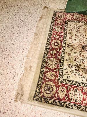 RUG, THROW PILLOWS AND WASTE BASKET