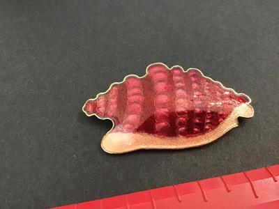 Seashell Brooch Vintage