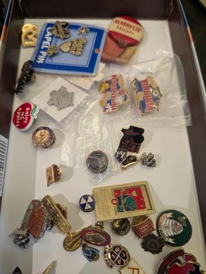 Assortment Of Vintage Lapel Pins & Hair Pins Annie NY State Older Boys Conference
