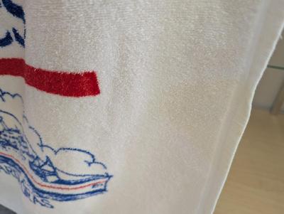 Carnival Cruise Lines Beach Towel