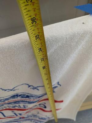 Carnival Cruise Lines Beach Towel