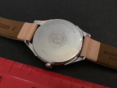 Working EcoDrive Blush Leather Band Citizen