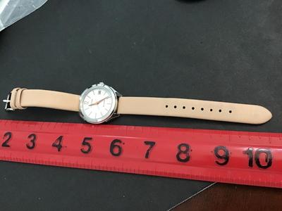 Working EcoDrive Blush Leather Band Citizen